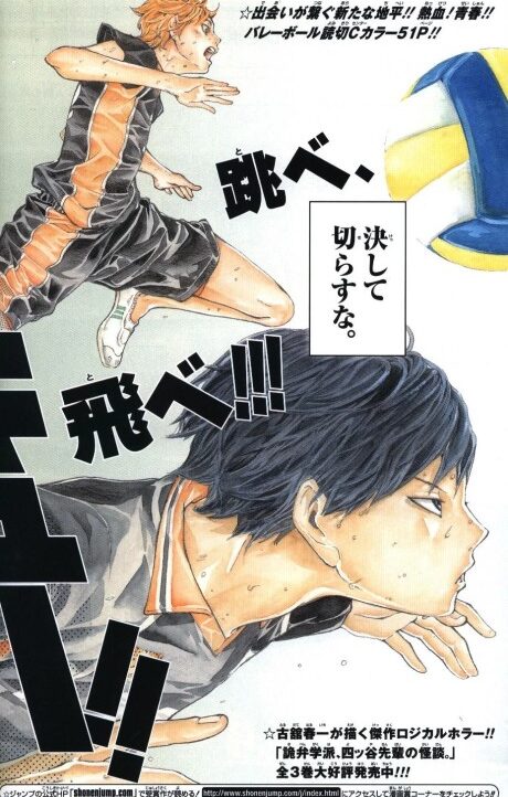 Haikyuu!! EN Cover Image